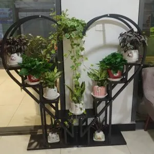 Sản phẩm f58a74a42239c4679d28 300x300 — Công Ty TNHH Sản Xuất Và Kinh Doanh Cây Xanh Thủ Đô — MST 0901055653