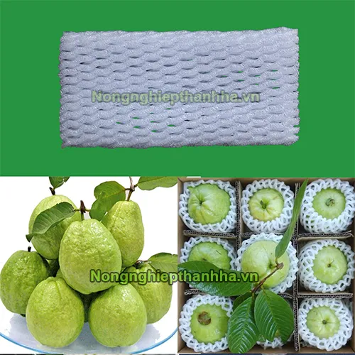 Sản phẩm 1 xop luoi bao oi — Công Ty TNHH Sản Xuất Và Dịch Vụ Thanh Hà — MST 0901063005