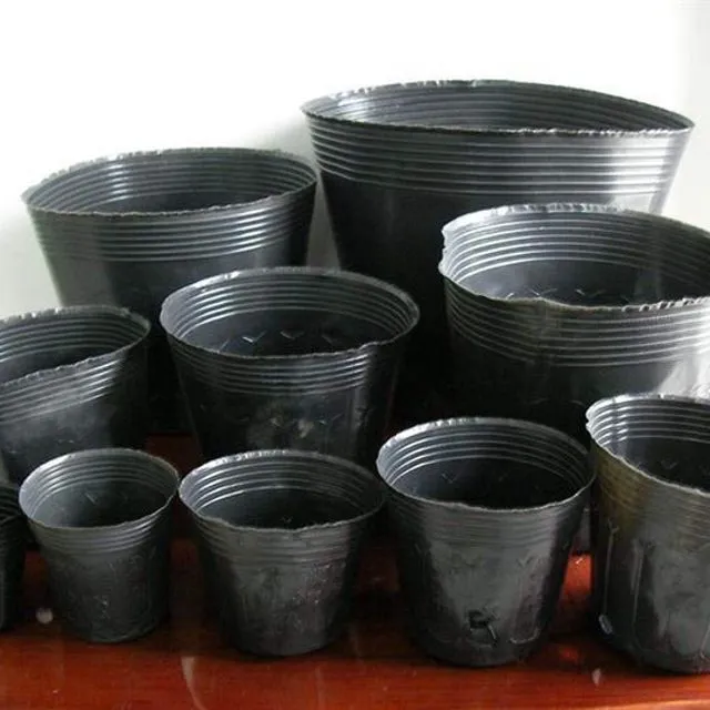 Sản phẩm 10 tui bau uom hat 15x13cm 1508897187 1 4093414 1508897187 — Công Ty TNHH Sản Xuất Và Dịch Vụ Thanh Hà — MST 0901063005