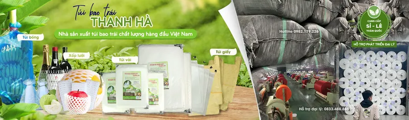 Sản phẩm bao boc trai cay tui boc buoi thanh ha — Công Ty TNHH Sản Xuất Và Dịch Vụ Thanh Hà — MST 0901063005