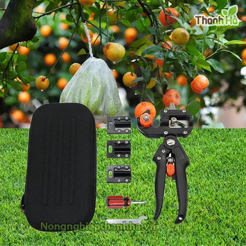 Sản phẩm bo ghep canh cao cap — Công Ty TNHH Sản Xuất Và Dịch Vụ Thanh Hà — MST 0901063005