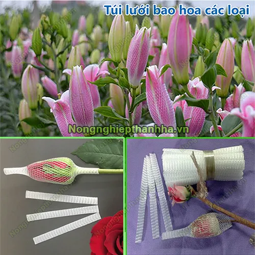 Sản phẩm luoi bao hoa 500 — Công Ty TNHH Sản Xuất Và Dịch Vụ Thanh Hà — MST 0901063005