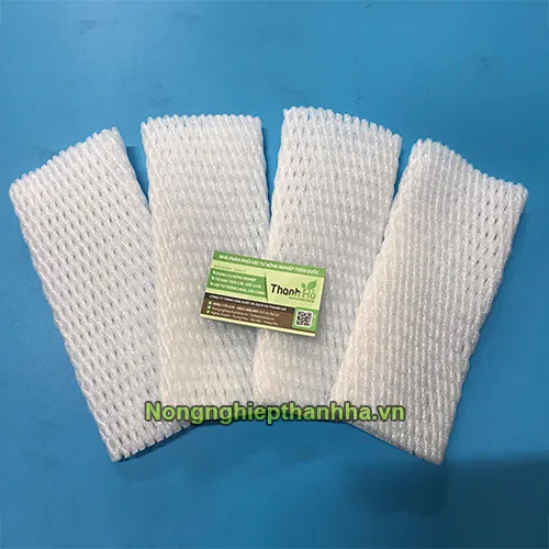 Sản phẩm xop dai bao buoi — Công Ty TNHH Sản Xuất Và Dịch Vụ Thanh Hà — MST 0901063005