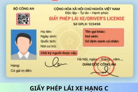 Sản phẩm gplx hang c — Vận Chuyển Hàng Hóa ánh Dương - Công Ty TNHH Vận tải và XNK ánh Dương — MST 0901096829