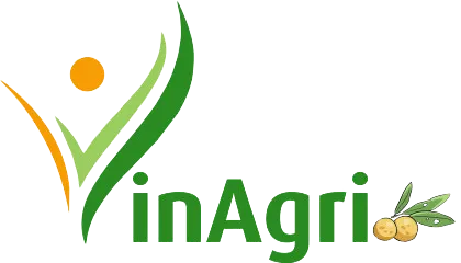 Logo Long Nhãn Hương Việt - Công Ty TNHH Vinagri Việt Nam