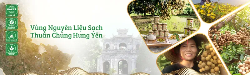 Sản phẩm cover 1 — Long Nhãn Hương Việt - Công Ty TNHH Vinagri Việt Nam — MST 0901104646