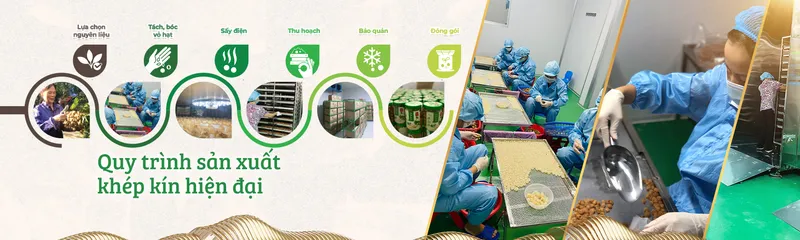 Sản phẩm cover1 — Long Nhãn Hương Việt - Công Ty TNHH Vinagri Việt Nam — MST 0901104646