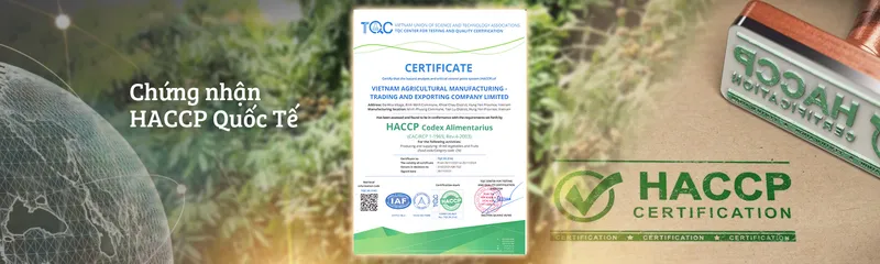 Sản phẩm cover2 — Long Nhãn Hương Việt - Công Ty TNHH Vinagri Việt Nam — MST 0901104646