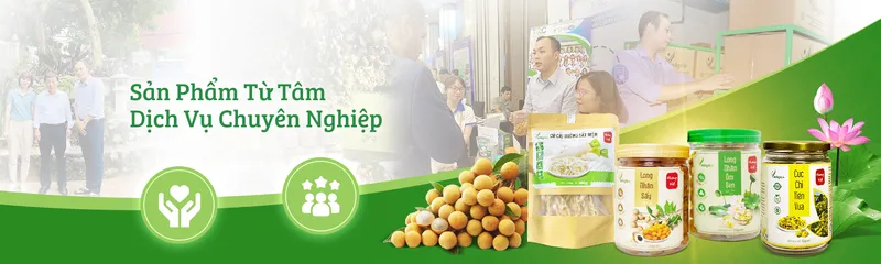 Sản phẩm cover4 — Long Nhãn Hương Việt - Công Ty TNHH Vinagri Việt Nam — MST 0901104646