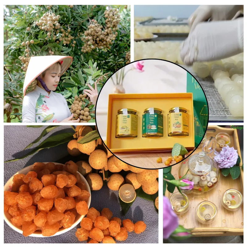 Sản phẩm long nhan _ web — Long Nhãn Hương Việt - Công Ty TNHH Vinagri Việt Nam — MST 0901104646