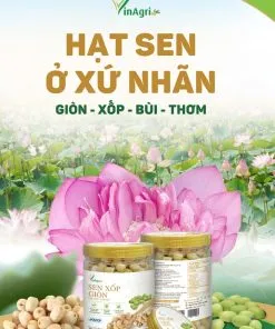 Sản phẩm sen xop gion 247x296 — Long Nhãn Hương Việt - Công Ty TNHH Vinagri Việt Nam — MST 0901104646