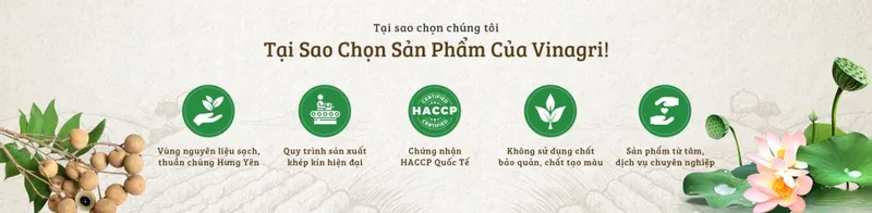 Sản phẩm tai sao chon chung toi 1024x251 — Long Nhãn Hương Việt - Công Ty TNHH Vinagri Việt Nam — MST 0901104646