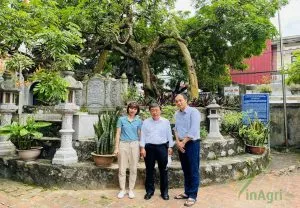 Sản phẩm z3976891115926_bc50a4473060c1d78bd4f27582bc8a9b 300x208 — Long Nhãn Hương Việt - Công Ty TNHH Vinagri Việt Nam — MST 0901104646