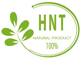 Logo Công Ty TNHH Nông Sản Sạch HNT