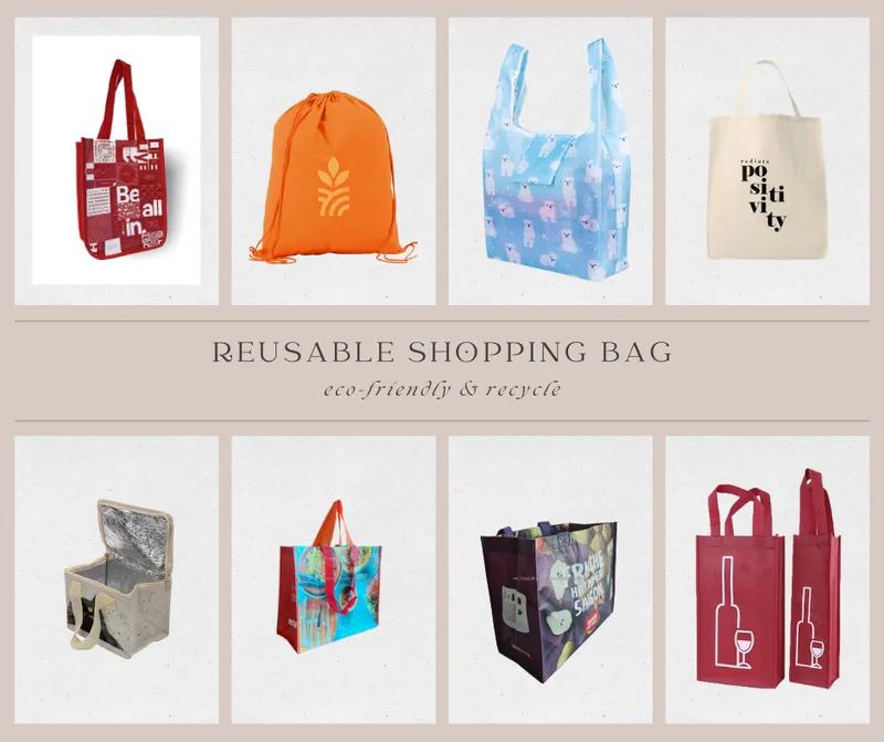Sản phẩm REUSABLE SHOPPING BAG — Túi Ecobag Vina - Công Ty Cổ Phần Ecobag Vina — MST 0901123913
