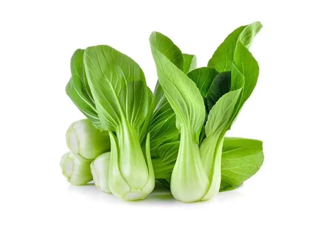 Sản phẩm Rau cai 1 — Công Ty Cổ Phần Thực Phẩm Vĩnh Thịnh — MST 0901125773