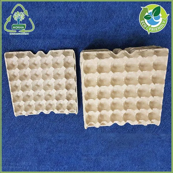 Sản phẩm kho7 — Khay Giấy Honha Eco Pulp Việt Nam - Công Ty TNHH Công Nghệ Đóng Gói Honha Eco
Pulp Việt Nam — MST 0901126350