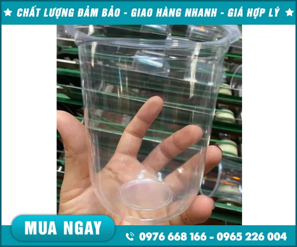 Sản phẩm coc su dung 1 lan (8) — Nắp Ly Nắp Nhựa PET - Công Ty TNHH Nhựa Nguyên Anh — MST 0901138370