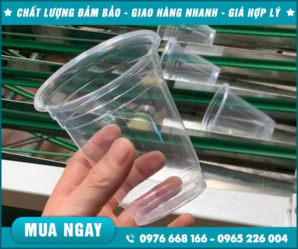 Sản phẩm coc su dung 1 lan (9) — Nắp Ly Nắp Nhựa PET - Công Ty TNHH Nhựa Nguyên Anh — MST 0901138370