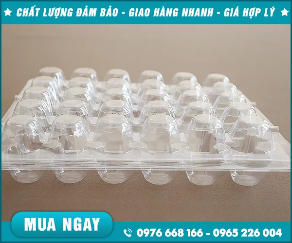 Sản phẩm khay nhua dinh hinh (10) — Nắp Ly Nắp Nhựa PET - Công Ty TNHH Nhựa Nguyên Anh — MST 0901138370