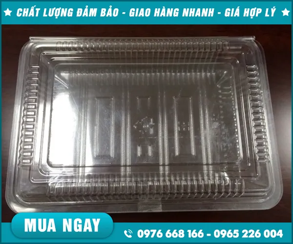 Sản phẩm khay nhua dinh hinh (9) — Nắp Ly Nắp Nhựa PET - Công Ty TNHH Nhựa Nguyên Anh — MST 0901138370