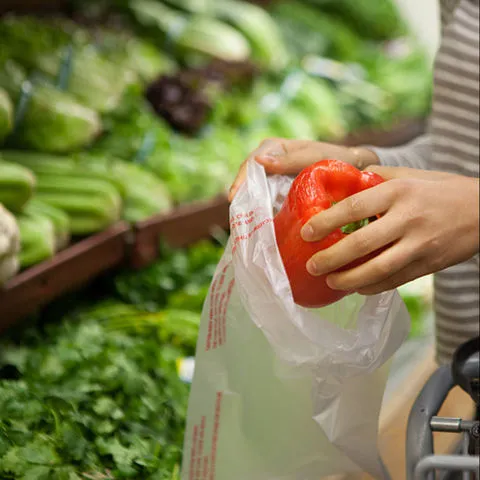 Sản phẩm Biodegradable Compostable Produce Bag Roll — Công Ty Cổ Phần Hanpak Holdings — MST 0901161387