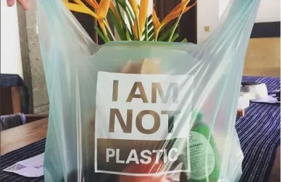 Sản phẩm eco bag — Công Ty Cổ Phần Hanpak Holdings — MST 0901161387