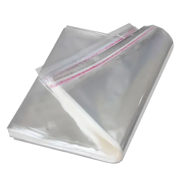 Sản phẩm opp mailing bag 600x600 — Công Ty Cổ Phần Hanpak Holdings — MST 0901161387