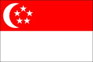 Sản phẩm singapore 300x200 — Công Ty Cổ Phần Hanpak Holdings — MST 0901161387
