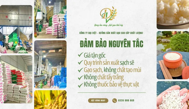 Sản phẩm 1 1 1024x594 — Gạo Đại Việt - Công Ty Cổ Phần Đầu Tư Thương Mại Dịch Vụ Xuất Nhập Khẩu Đại Việt — MST 0901171314