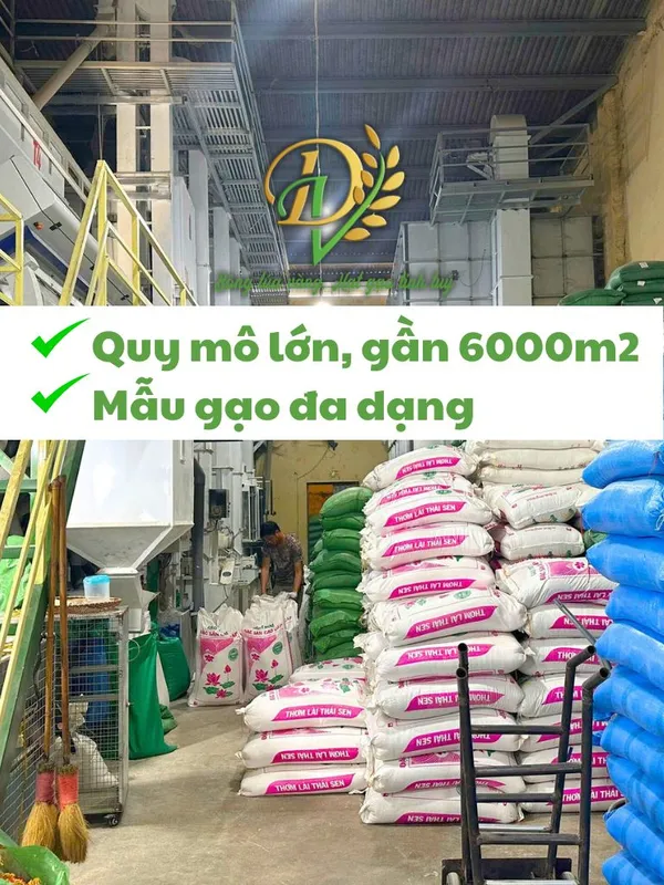 Sản phẩm 1 2 — Gạo Đại Việt - Công Ty Cổ Phần Đầu Tư Thương Mại Dịch Vụ Xuất Nhập Khẩu Đại Việt — MST 0901171314