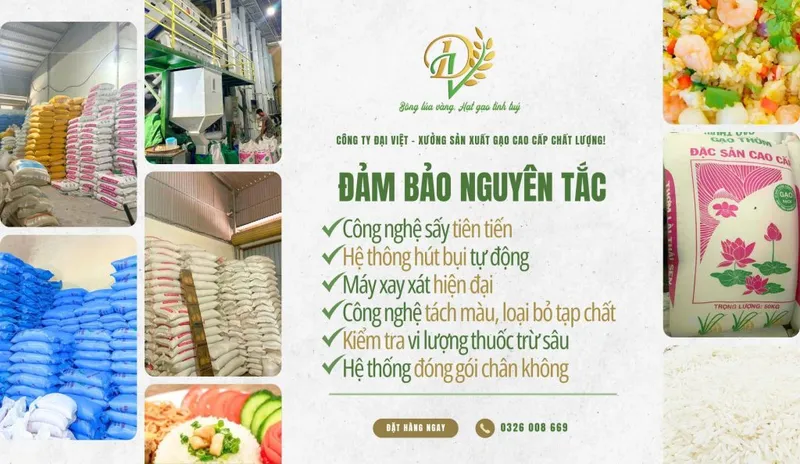 Sản phẩm 2 1 1024x594 — Gạo Đại Việt - Công Ty Cổ Phần Đầu Tư Thương Mại Dịch Vụ Xuất Nhập Khẩu Đại Việt — MST 0901171314
