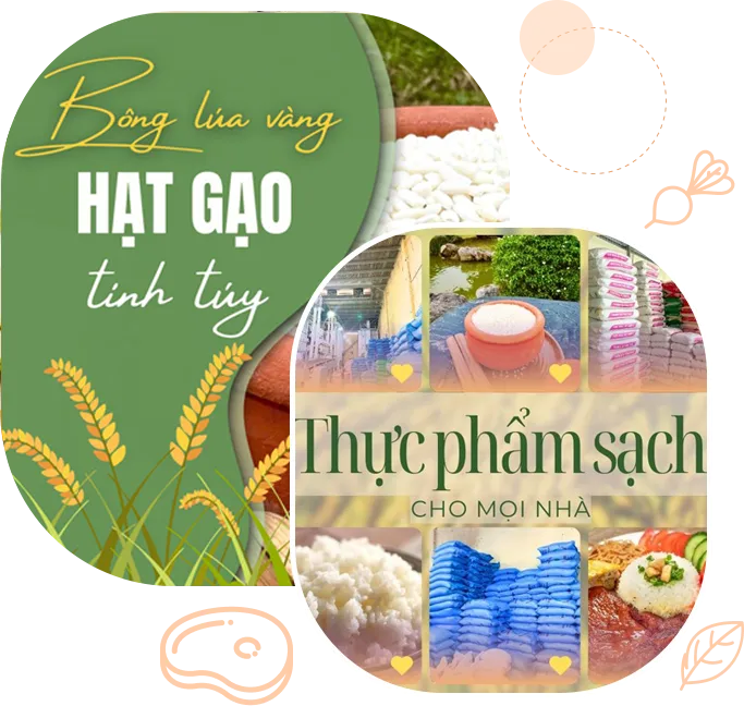 Sản phẩm hinh anh gioithieu 1 — Gạo Đại Việt - Công Ty Cổ Phần Đầu Tư Thương Mại Dịch Vụ Xuất Nhập Khẩu Đại Việt — MST 0901171314
