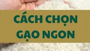 Sản phẩm 1 300x169 — Gạo Đại Việt - Công Ty Cổ Phần Đầu Tư Thương Mại Dịch Vụ Xuất Nhập Khẩu Đại Việt — MST 0901171314