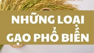 Sản phẩm 16 300x169 — Gạo Đại Việt - Công Ty Cổ Phần Đầu Tư Thương Mại Dịch Vụ Xuất Nhập Khẩu Đại Việt — MST 0901171314