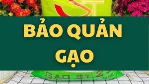 Sản phẩm 6 300x169 — Gạo Đại Việt - Công Ty Cổ Phần Đầu Tư Thương Mại Dịch Vụ Xuất Nhập Khẩu Đại Việt — MST 0901171314