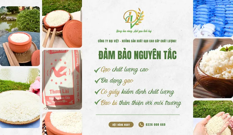 Sản phẩm 5d4dab4cb2af03f15abe — Gạo Đại Việt - Công Ty Cổ Phần Đầu Tư Thương Mại Dịch Vụ Xuất Nhập Khẩu Đại Việt — MST 0901171314