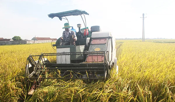 Sản phẩm anh gat lua — Gạo Hưng Cúc - Công Ty TNHH Hưng Cúc — MST 1000339080