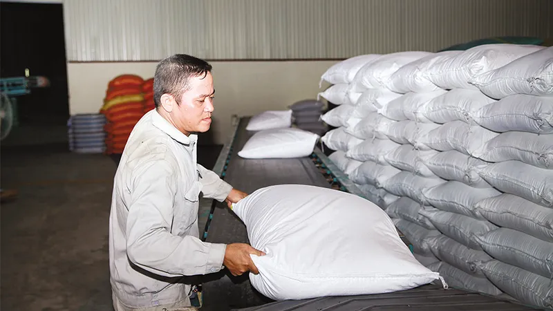 Sản phẩm dich vu — Gạo Hưng Cúc - Công Ty TNHH Hưng Cúc — MST 1000339080