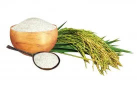 Sản phẩm khang dan 274x182 — Gạo Hưng Cúc - Công Ty TNHH Hưng Cúc — MST 1000339080