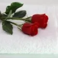 Sản phẩm vo8_hand towel.jpg 220x220 — Công Ty TNHH Dệt May Xuất Khẩu Tama — MST 1001007063