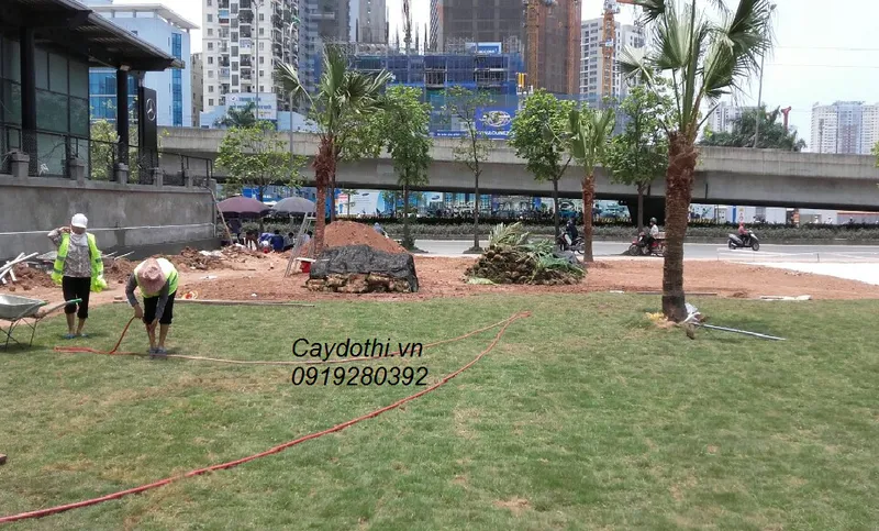 Sản phẩm 1 — Công Ty TNHH Lanscape - Cây Xanh Đô Thị Việt Nam — MST 1001111709
