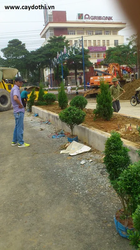 Sản phẩm dsc0008 — Công Ty TNHH Lanscape - Cây Xanh Đô Thị Việt Nam — MST 1001111709