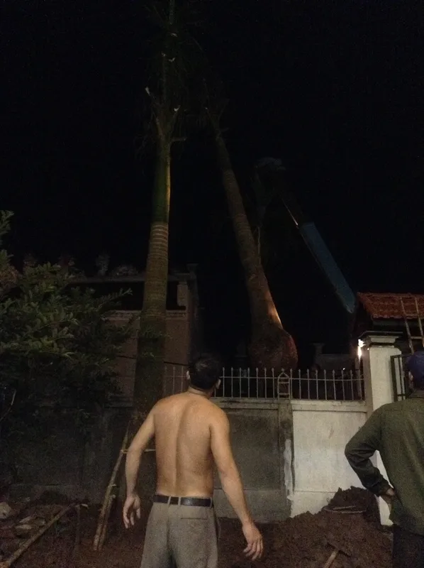 Sản phẩm img3008 — Công Ty TNHH Lanscape - Cây Xanh Đô Thị Việt Nam — MST 1001111709