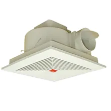 Sản phẩm kce — Công Ty TNHH Thương Mại Và Dịch Vụ Ngoan Thành — MST 1001200726