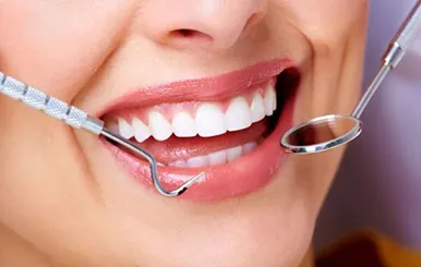 Sản phẩm Nho rang — Công Ty TNHH RUBY DENTAL — MST 1001223924