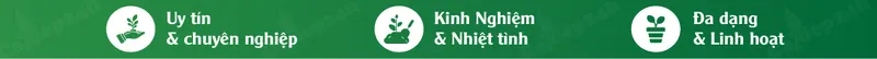 Sản phẩm baner caydep24h footer 01 01 — Công Ty TNHH Thương Mại Và Dịch Vụ Cây Ba Miền — MST 1001241955
