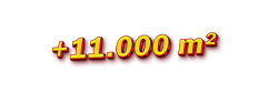 Sản phẩm 11000m — Công Ty Cổ Phần Sản Xuất Thương Mại Đông Dương — MST 1100141101