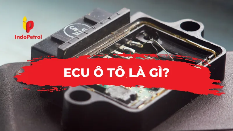 Sản phẩm anh bia ecu o to — Công Ty Cổ Phần Sản Xuất Thương Mại Đông Dương — MST 1100141101