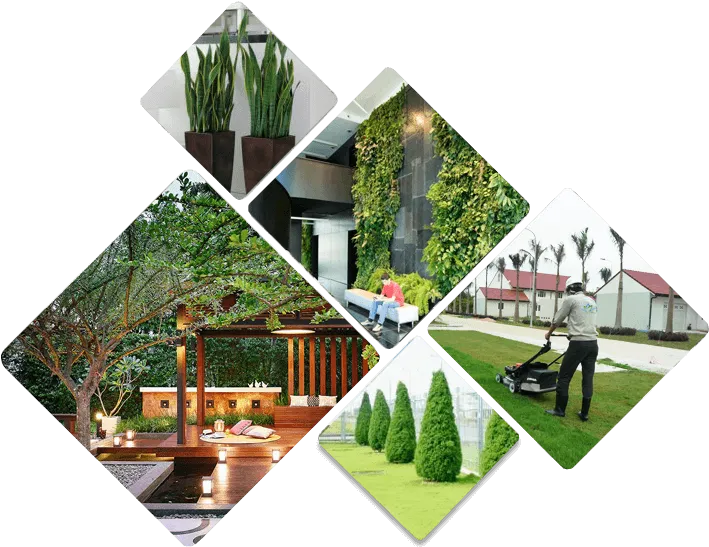 Sản phẩm about us 1 1 — Công Ty Cổ Phần Đô Thị Đức Hòa — MST 1100445276